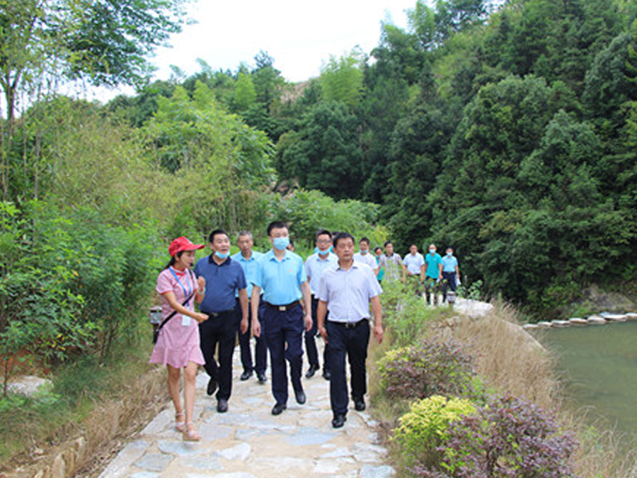 鄂旅投咸寧集團與九宮山管委會聯(lián)合組織黨建調(diào)研活動，助力鄉(xiāng)村振興發(fā)展